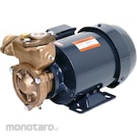 Nikuni Vortex turbine pump KPD (self-priming, medium pressure, copper alloy)