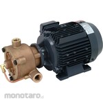 Nikuni Vortex turbine pump KWD (ultra-high pressure, copper alloy)