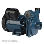 Panasonic Distribution Pump (Pompa Celup)