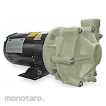 DAYTON Pump Centrifugal Chemical Resistant Straight (Pompa Sentrifugal)