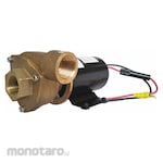 DAYTON Pump Centrifugal Marine Straight (Pompa Sentrifugal)