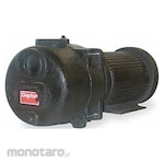 DAYTON Pump Centrifugal Self Priming for Trash/Sewage (Pompa Sentrifugal Limbah)