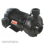 DAYTON Pump Centrifugal Straight (Pompa Sentrifugal)