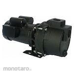 DAYTON Self Priming Sprinkler Pump