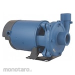 FLINT WALLING Pump Centrifugal Straight (Pompa Sentrifugal)