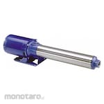 GOULDS WATER TECHNOLOGY Pump Centrifugal Booster Horizontal (Pompa Sentrifugal Booster)