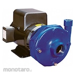 GOULDS WATER TECHNOLOGY Straight Centrifugal Pump
