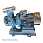 Maxpump Horizontal Single Stage Pump ISW Series