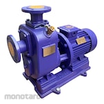 Maxpump Self Priming Centrifugal Pump