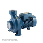Pedrollo Pump Centrifugal (High Flow) Single Phase-Impeller Brass (Pompa Sentrifugal)