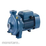 Pedrollo Pump Centrifugal (Medium Flow) Single Phase-Impeller Brass (Pompa Sentrifugal)