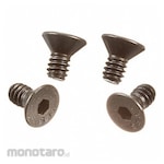 RIDGID Screws