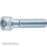 TRUSCO Hex Socket Head Cap Screw Unichrome (Baut L)