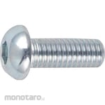 TRUSCO Hex Socket Button Head Cap Screw Trivalent Chromate Full Thread (Baut L Kancing)