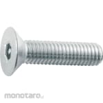 TRUSCO Pin-Hexagon Socket Flat Head Bolt