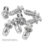 CBS Metal Rivet Screw (Mur Baut Rivet)