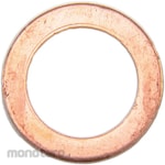 ESCO Copper Packing 14X20X1.5mm 20 Piece (Ring Washer)