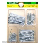 Sellery Nail Kit