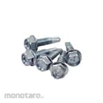 TORA Self Drilling Screw White Zinc Plating