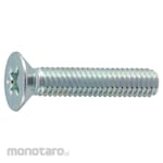 TRUSCO Flat Head Slim Screw Cormic