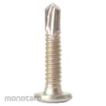 One Fast Philip Drilling Screw