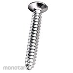 Non Brand Flat Head Tapping Screw FAB FH (Sekrup Kepala Datar)