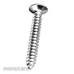 Non Brand Flat Head Tapping Screw FAB Putih Platting (Sekrup Kepala Datar)