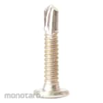 One Fast Wafer Head Philip Drilling Screw