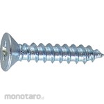 TRUSCO Flat Head Tapping Screw Cormic (Sekrup Kepala Datar)