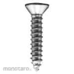 Wilson Flat Head Tapping Screw (Sekrup Kepala Datar)