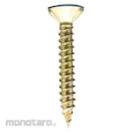 Wilson Flat Head Tapping Screw (Sekrup Kepala Datar)