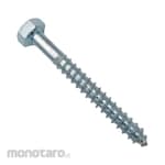 TAF Hex Head Tapping Screw Lag Screw (Sekrup Hexagonal)