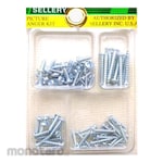 Sellery Pan Head Tapping Screw Kit (Sekrup Bulat)
