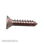 SMT Tapping Screw JP SUS304