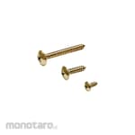 Continental Screw Truss Head Tapping Screw T/ABH (Sekrup Kepala Payung)