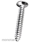 Non Brand Tapping Screw FAB FH Sekrup Tapping