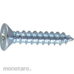 TRUSCO Flat Head Tapping Screw Cormic