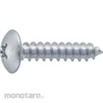 TRUSCO Mushroom Head Tapping Screw Cormic