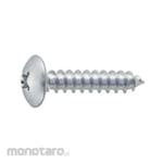 TRUSCO Truss Head Taping Screw Bolton Pack Trivalent Chromate (Sekrup Kepala Payung)