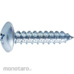 TRUSCO Truss Head Tapping Screw (Sekrup Kepala Payung)