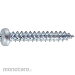 TRUSCO Unichrome Pan Head Tapping Screw
