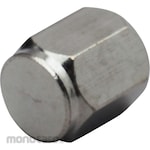 TIPTOP Valve Cap Silver
