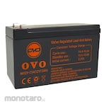 OVO Valve Regulated Lead-Acid AGM Battery
