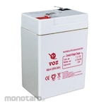 VOZ VRLA AGM Battery