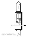 Flosser Lampu Halogen