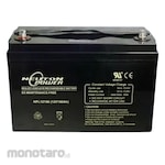Neuton Power VRLA Battery