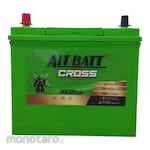 Alt-Batt Cross Car Battery