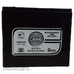 Cawang Dry Car Battery (Aki Mobil Kering)