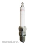 Champion Spark Plug Industrial (Busi Mobil)