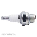 Champion Spark Plug for 2 Stroke Lawn Mower (Busi)